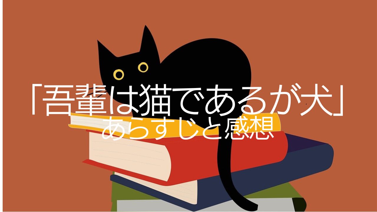 本の上に座る黒猫